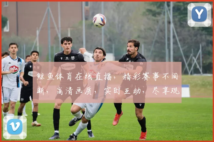 鲸鱼体育在线直播，精彩赛事不间断，高清画质，实时互动，尽享观赛乐趣，三重福利等你来
