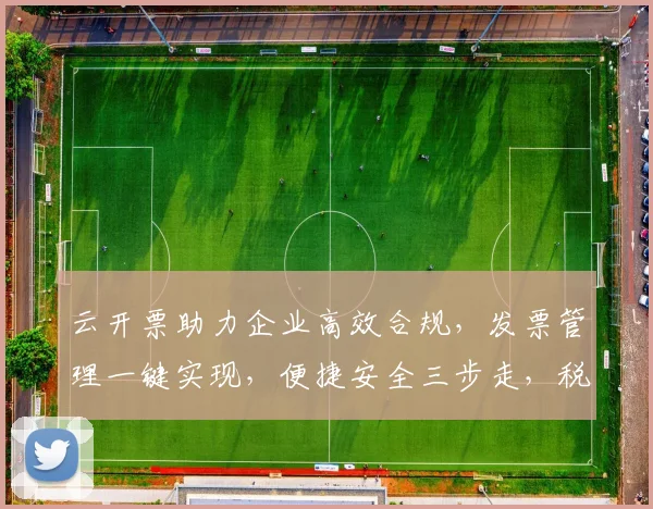 云开票助力企业高效合规，发票管理一键实现，便捷安全三步走，税务无忧