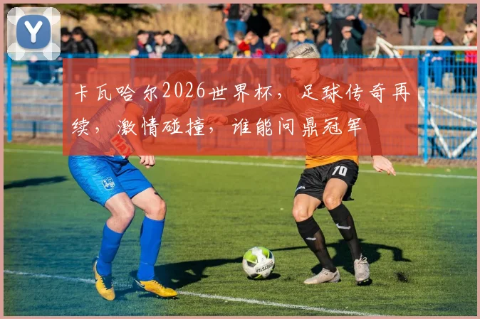 卡瓦哈尔2026世界杯，足球传奇再续，激情碰撞，谁能问鼎冠军