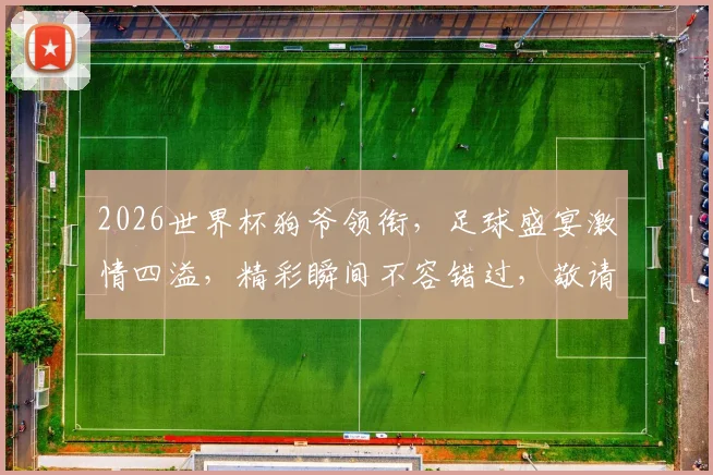 2026世界杯狗爷领衔，足球盛宴激情四溢，精彩瞬间不容错过，敬请期待