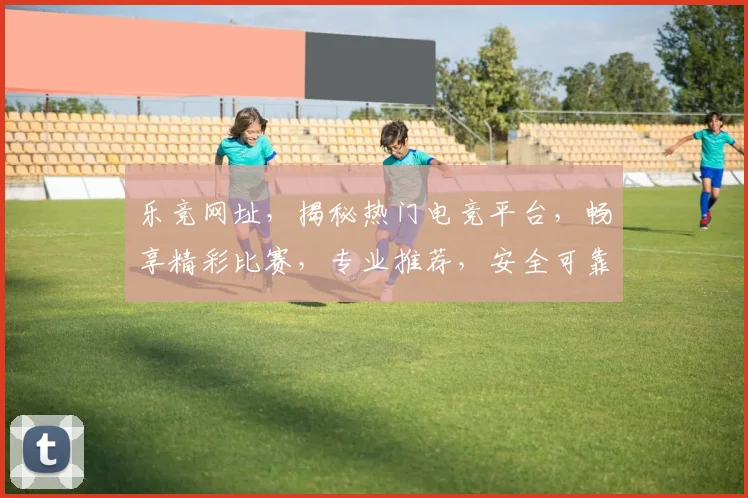 乐竞网址，揭秘热门电竞平台，畅享精彩比赛，专业推荐，安全可靠，一网打尽